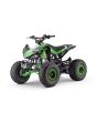 Quad dla dzieci Beneo Motors ZXT zielony - 125cm3