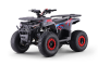 Quad benzynowy dla dzieci Beneo Motors WARRIOR czerwony - 125cm3